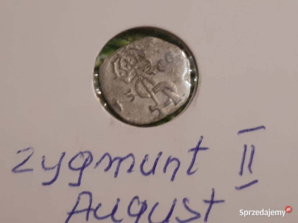 moneta srebrna Zygmunta II Augusta z 1566r Łomża