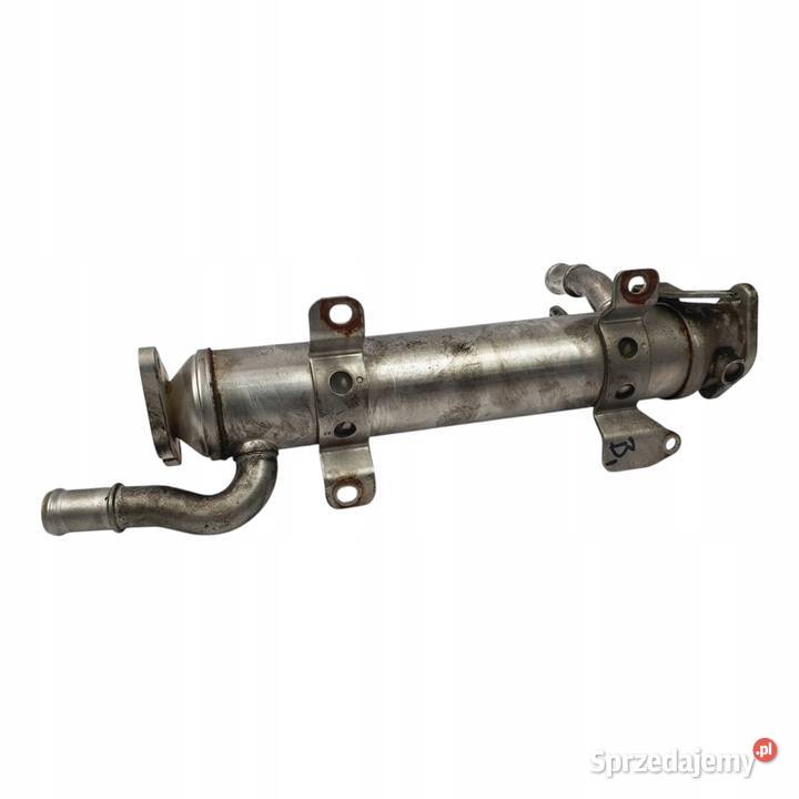CHŁODNICA SPALIN VW Passat B6 20 TDI 03L131512B Chełm