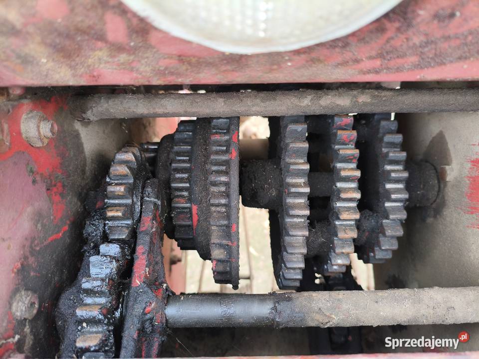 Siewnik Poznaniak łódzkie Sieradz sprzedam