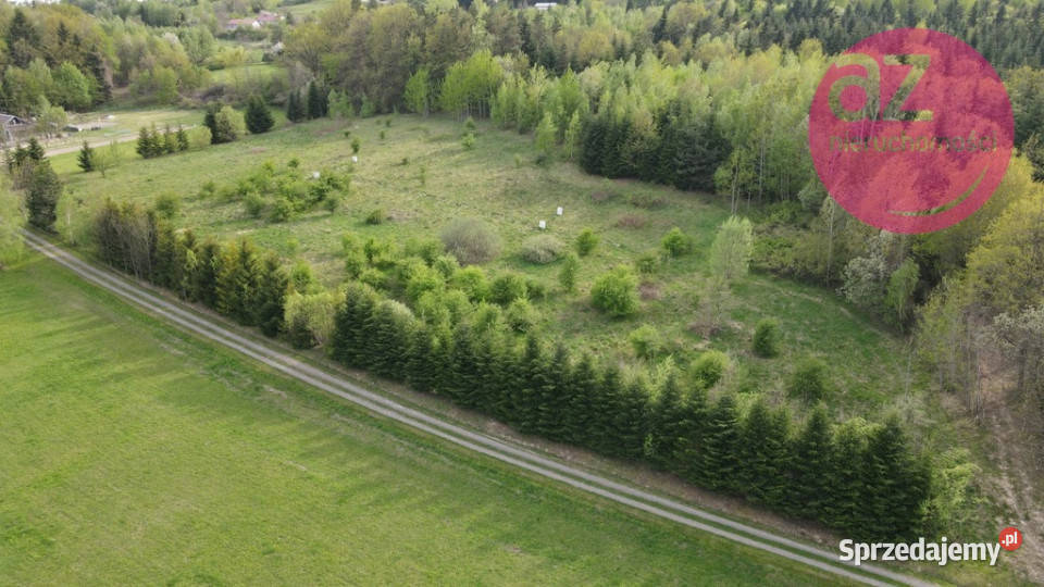 6 działek budowlanych w Stróżówce 24a sprzedam