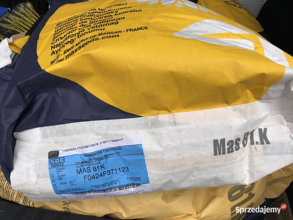 Słonecznik MAS 81K MAS 83 SU MAS 823SU MAS 900 Pozostałe Opatów