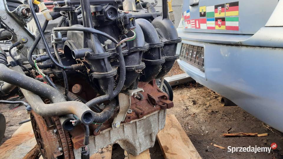 silnik kompletny Dacia Sandero Logan 14 131 osobowe Dębno sprzedam