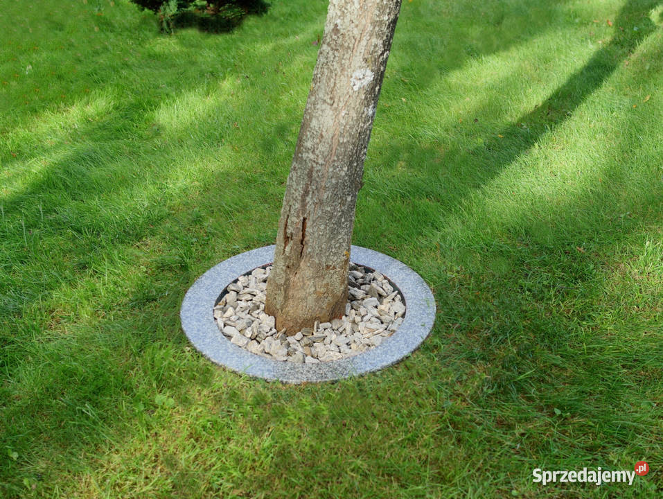 Obrzeże trawnikowe wokół drzew śr 40 Dębica