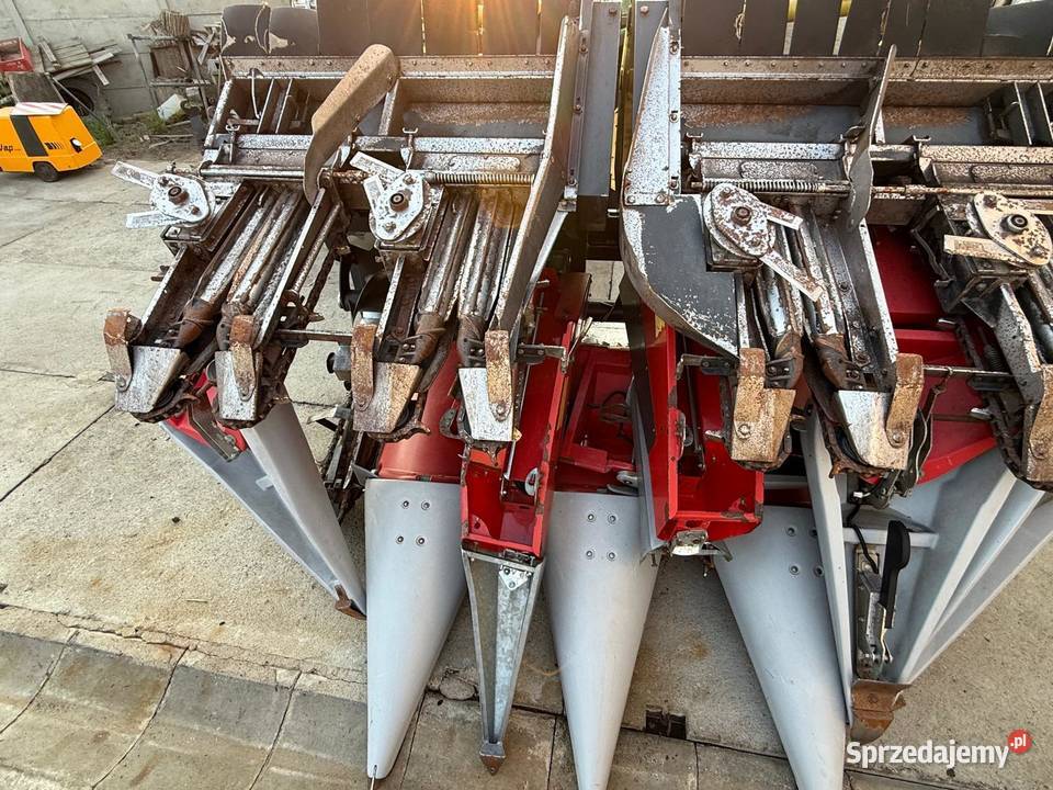 Heder do kukurydzy Dominoni 8x75 8 rzędowy sprzedam