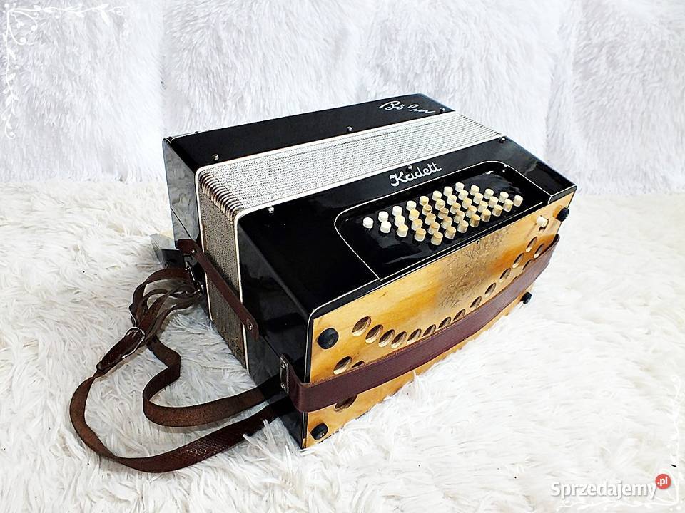 Akordeon Sygnowany Arthur Petersen Flensburg Instrumenty dęte Żary