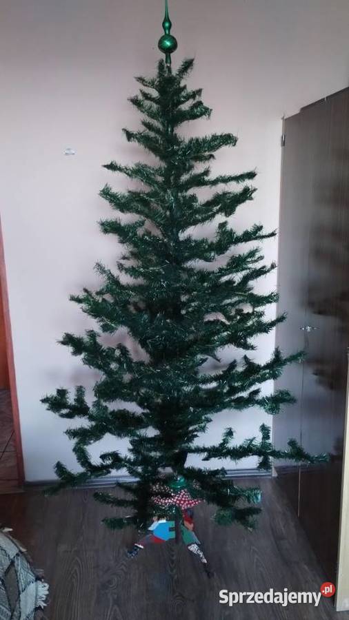 Choinkaq z Mikołajami Szczecin