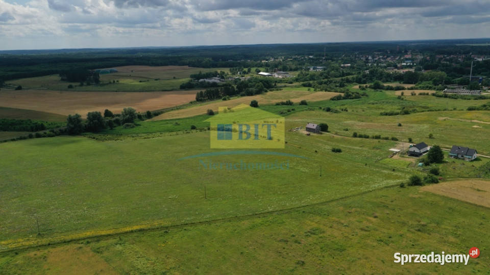 działka 195 ha na obrzeżach Złocieńca zachodniopomorskie Złocieniec