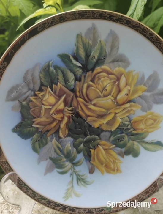 Frstenberg Najpiękniejsze stare różetalerz łódzkie Pabianice