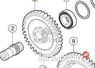 Claas Axion 870 Koło Zębate Przekładni Jastrzębniki sprzedam
