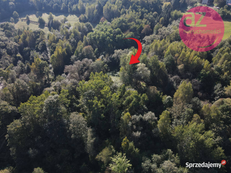 Działka budowlana Jeziorem Rożnowskim Lipie
