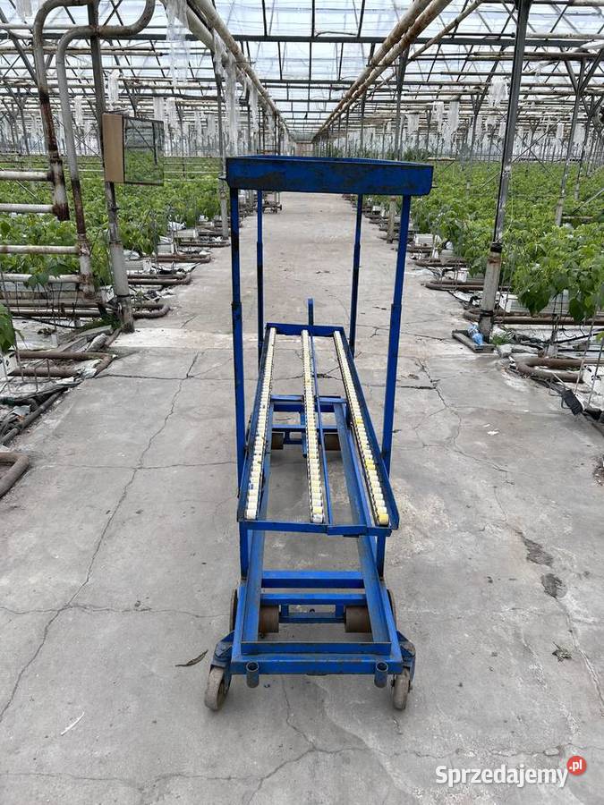 Wózek rolkowy szklarniowy do zbioru warzyw