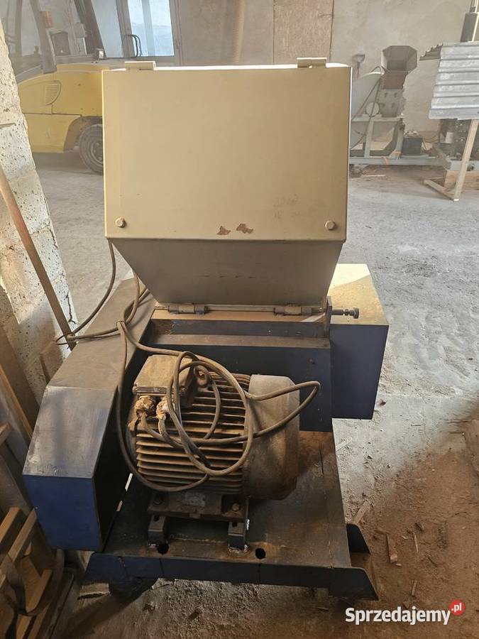 RĘBAK łódzkie Rząśnia