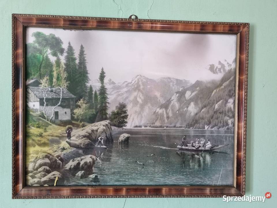 Starocie Busko-Zdrój sprzedam