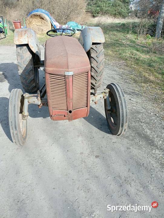 Sprzedam Fergusona TED 20 wielkopolskie Gniezno