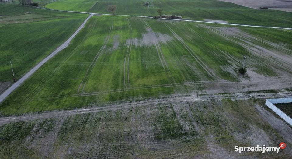 Działka budowlana Rożental