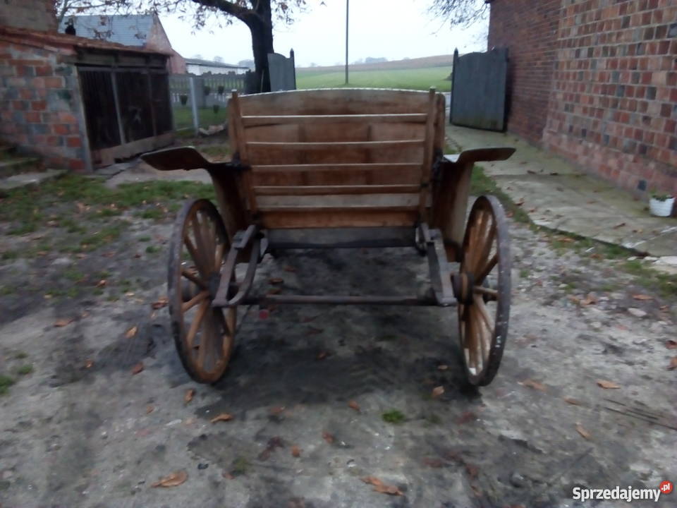 bryczka konna antyk Osieczna sprzedam