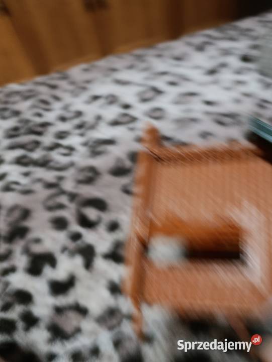 domek plastykowy do zabawy dzieci Dla dzieci wielkopolskie Poznań