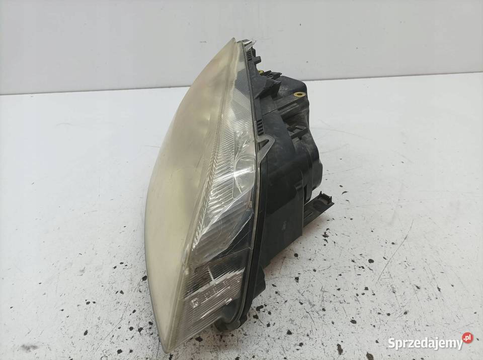 LAMPA PRZÓD PRAWA XENON Ford C I 20032010 świętokrzyskie