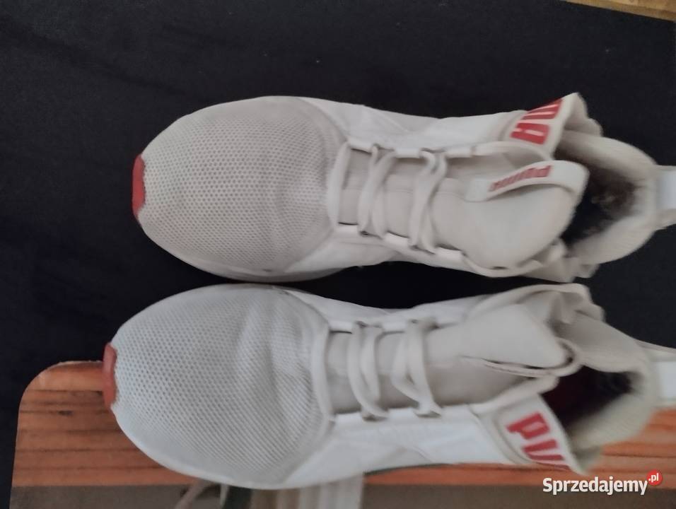 Obuwie Sportowe PUMA Warszawa sprzedam