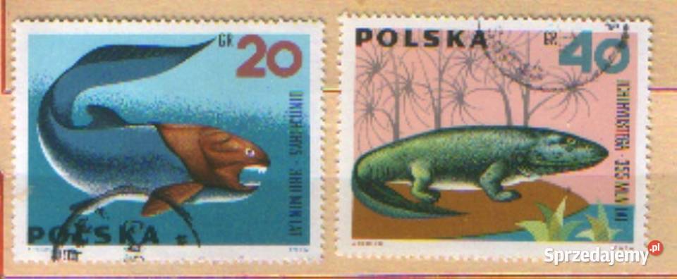 Zn Fi 1506 7 kas 1966 Gliwice