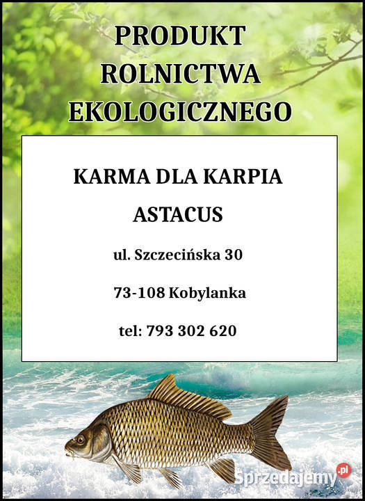 Karma pasza ryb karp koi pstrąg jesiotr zachodniopomorskie Stargard