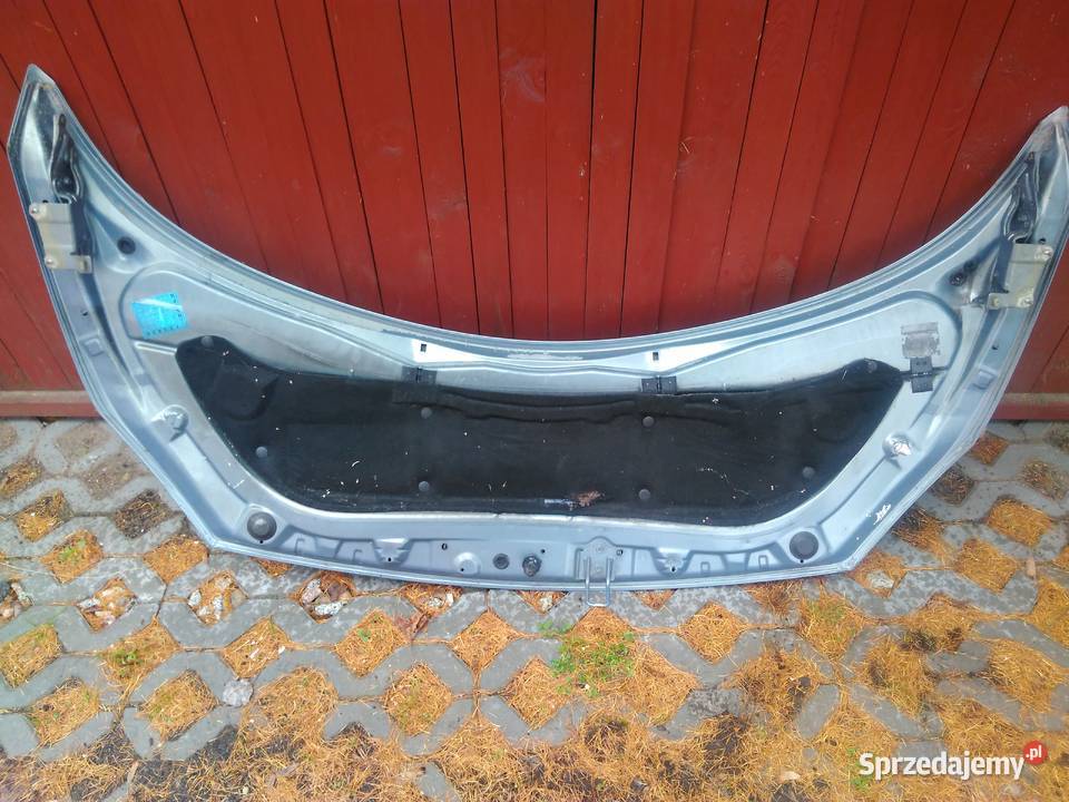 Maska renault scenic 19dci Cieciorka