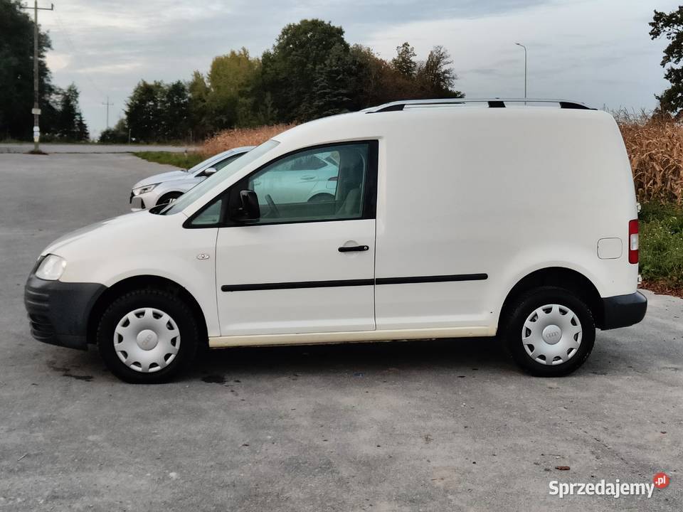 Ceddy Berlingopartner Stobierna