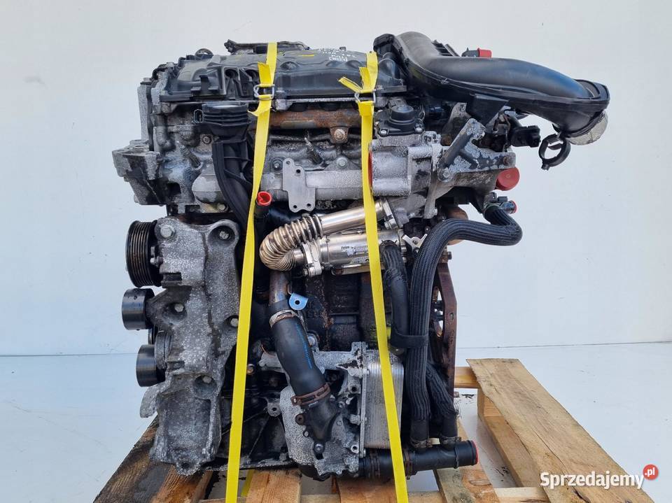 SILNIK KOMPLET Renault Trafic 20 DCI pali M9R782 osobowe Rudka