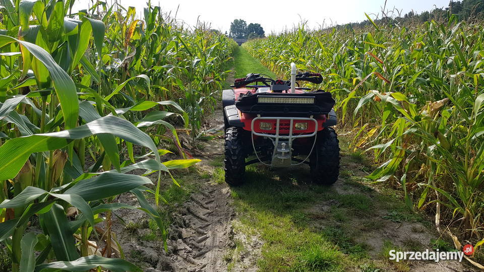 Honda TRX 300 4x4 LSD 1998r Garwolin sprzedam