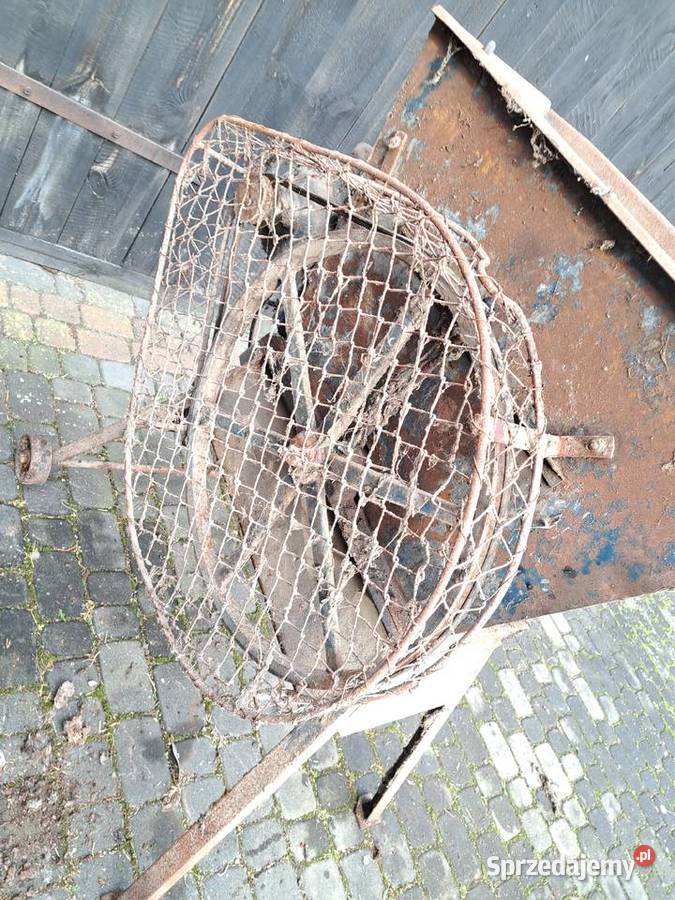 Rozdrabniacz jemioł do buraków Krzymów