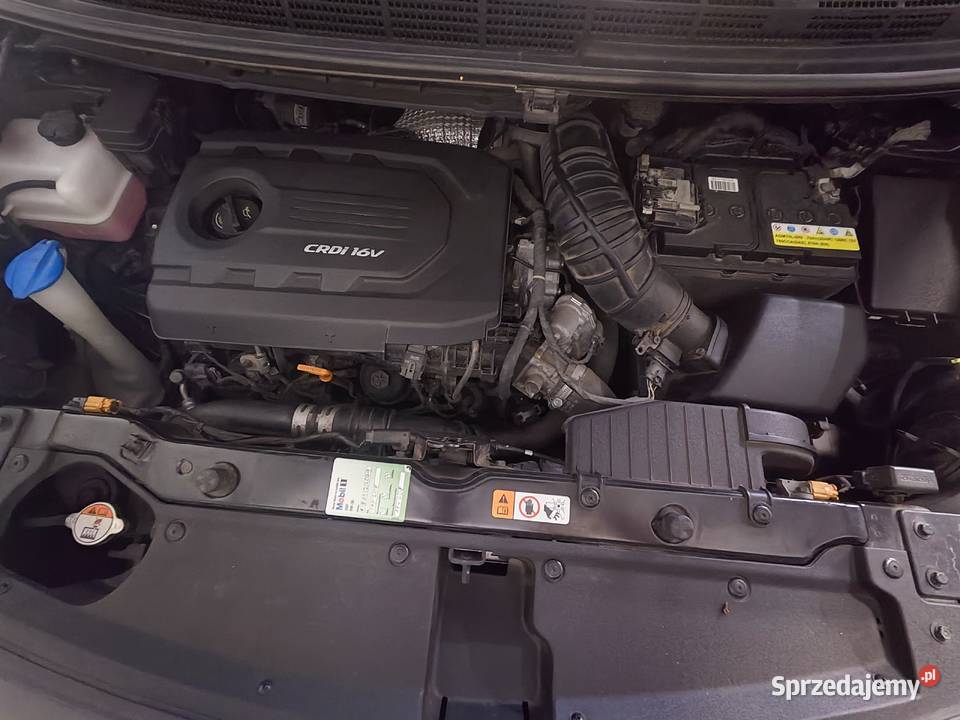 KIA Carens diesel dolnośląskie Legnickie Pole