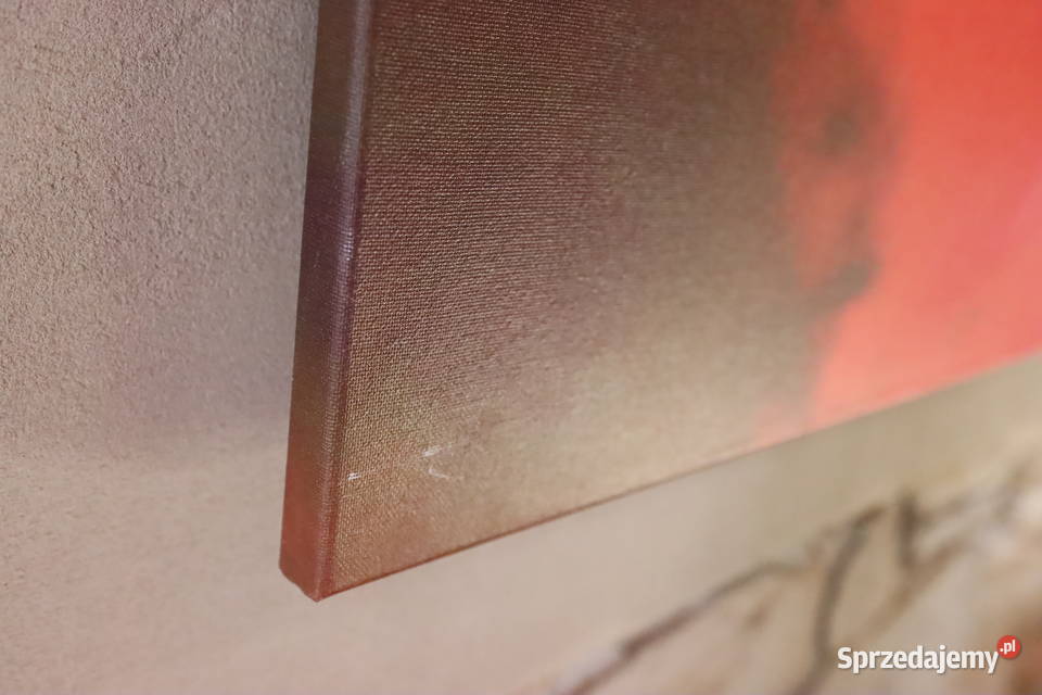 Duży obraz salon pokój jadalnia pracownia Pszczyna