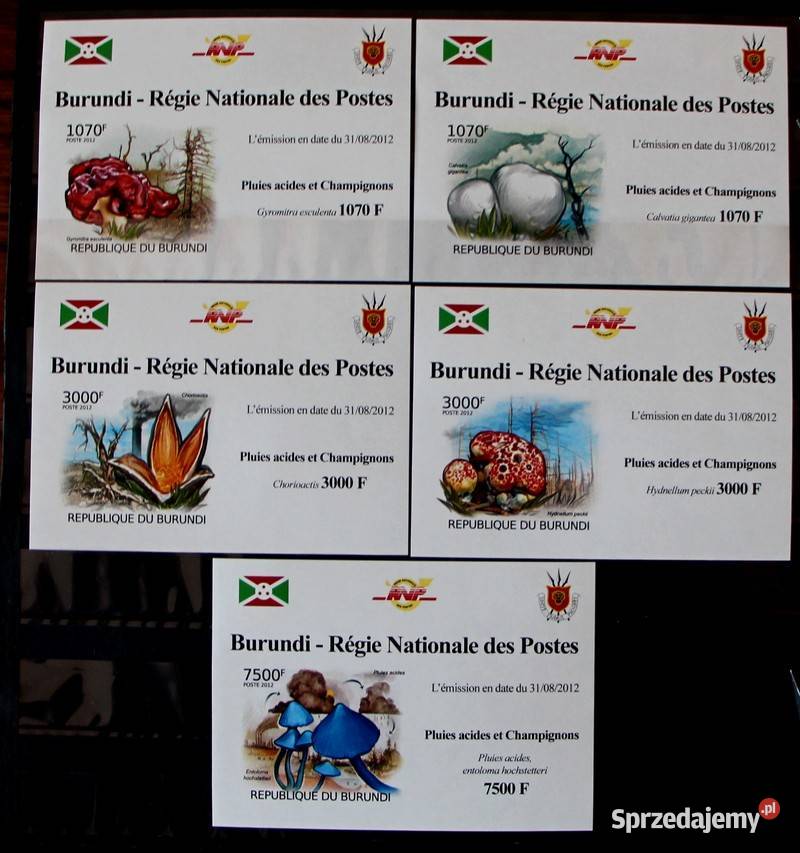 Burundi wielkopolskie Oborniki