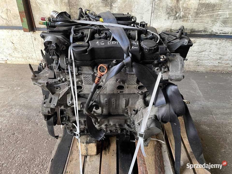 Sprzedam silnik 16 ddis Suzuki sx4 kujawsko-pomorskie Świecie