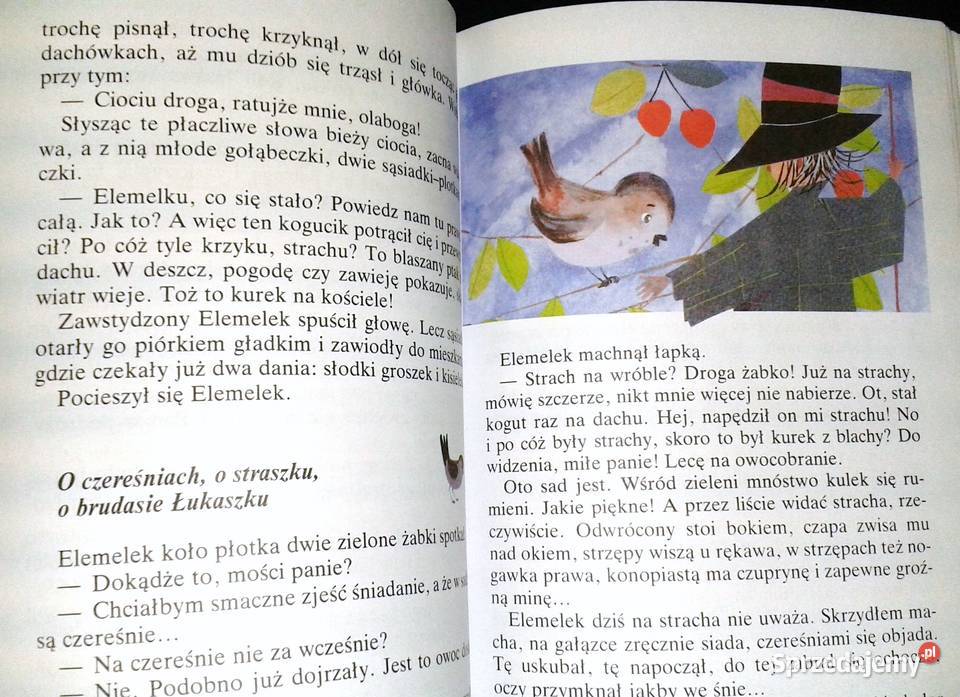 O wróbelku Elemelku Hanna Łochocka Zdzisław Chełm