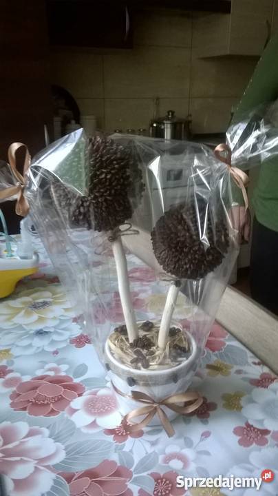 Drzewko ozdobne z kawy ziarnistej piekna ozdoba Witkowice sprzedam