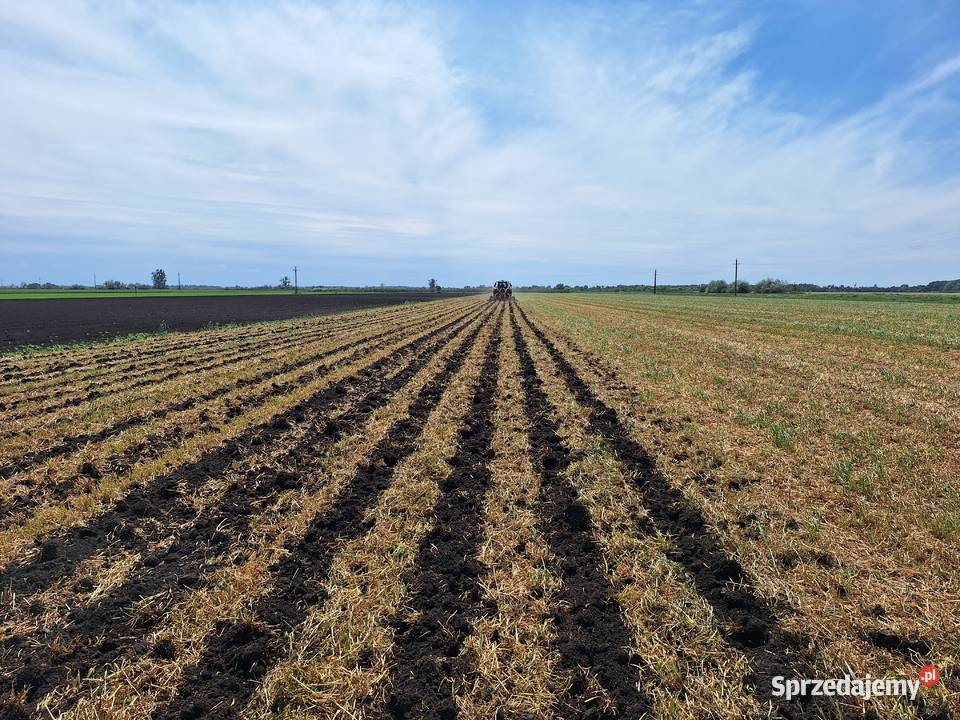 Pneusej OPTISTRIP kultywator STRIPTILL do uprawy małopolskie Nowy Targ
