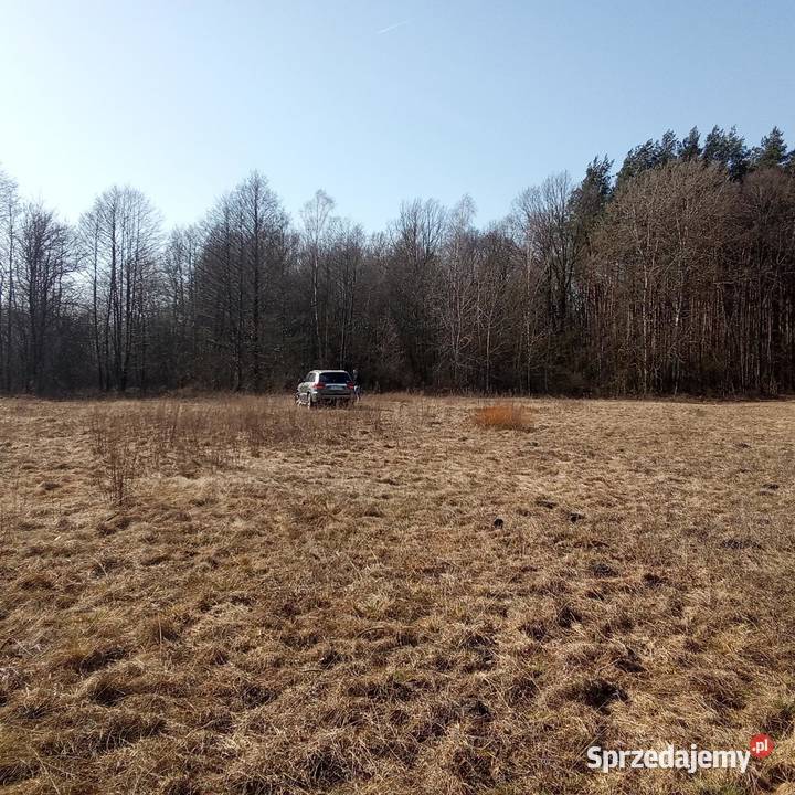 Zygmunty 3 028 m WZ dojazd asfalt