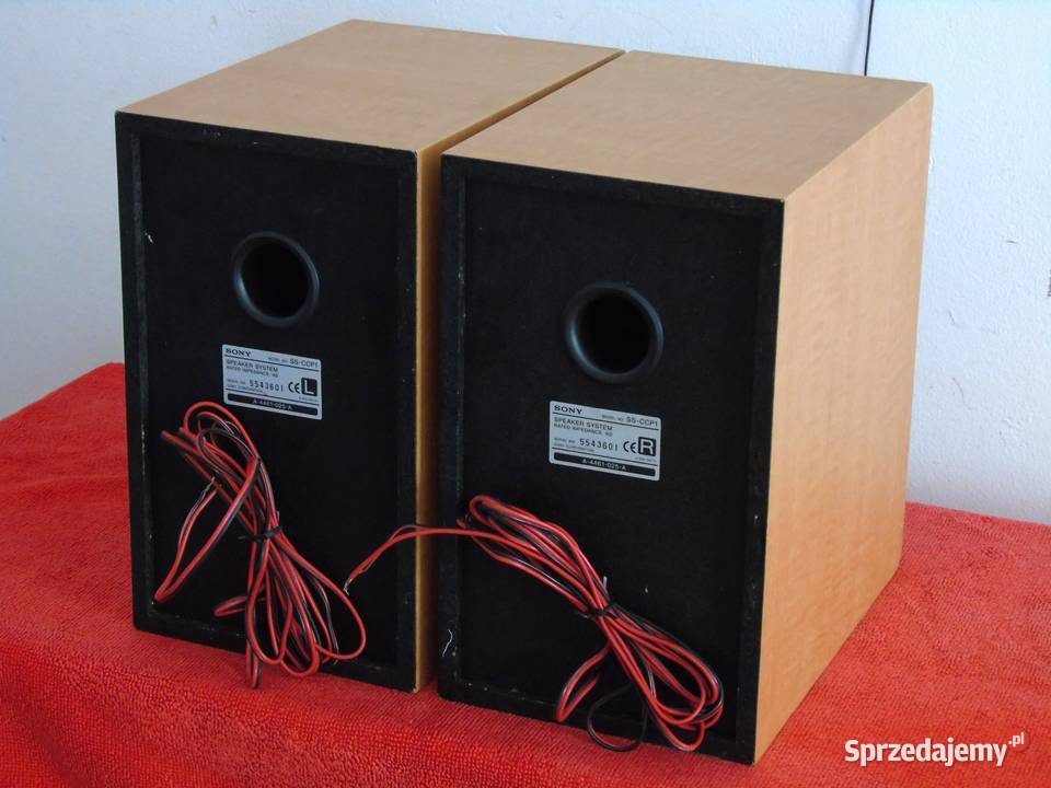 Kolumny Sony SSCCP1 śliczne i sprawne WYSYŁKA Jasło sprzedam