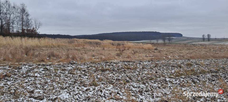 Działka leśna rolna Sprzedaż Kępie