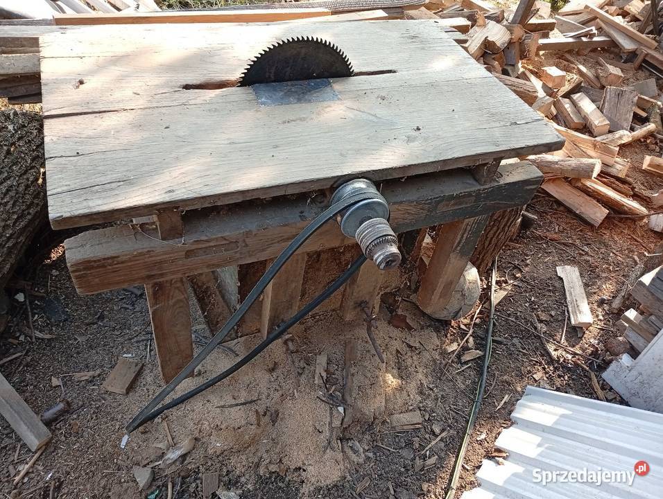 Cyrkularka Krajzega podkarpackie