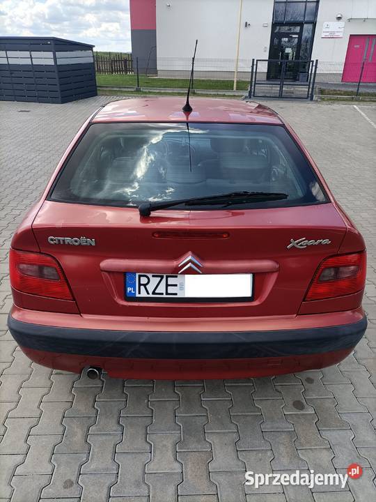 Citroen Xsara 2001 14 benzyna przebieg 81000 Xsara Rzeszów