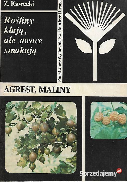 Agrest maliny Z Kawecki