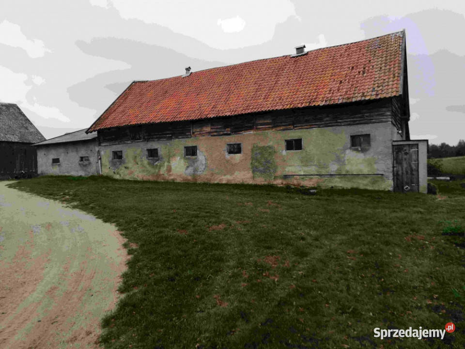 Sprzedam siedlisko 15 ha na Mazurach Gawliki Wielkie