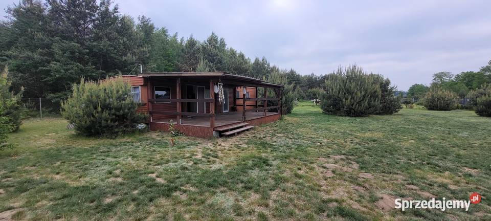 Działka rekreacyjna z warunkami 1360m2 Złotniki-Kolonia sprzedam