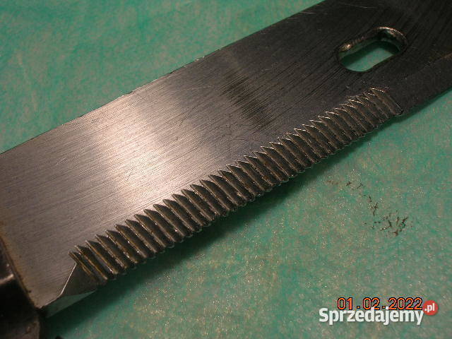 Bagnet rumuński 6H3 Łódź