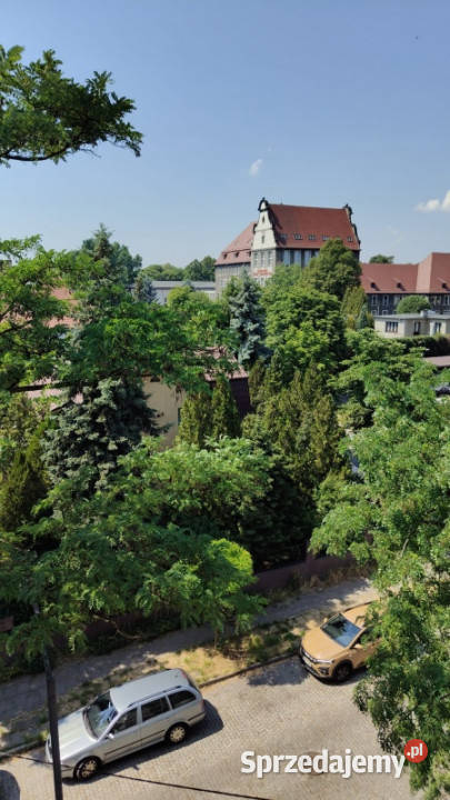 Przestronne mieszkanie w śródmieściu Bytomia Bytom sprzedam