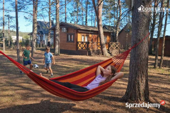 Sprzedaż domu wolnostojącego Borsk 35m2