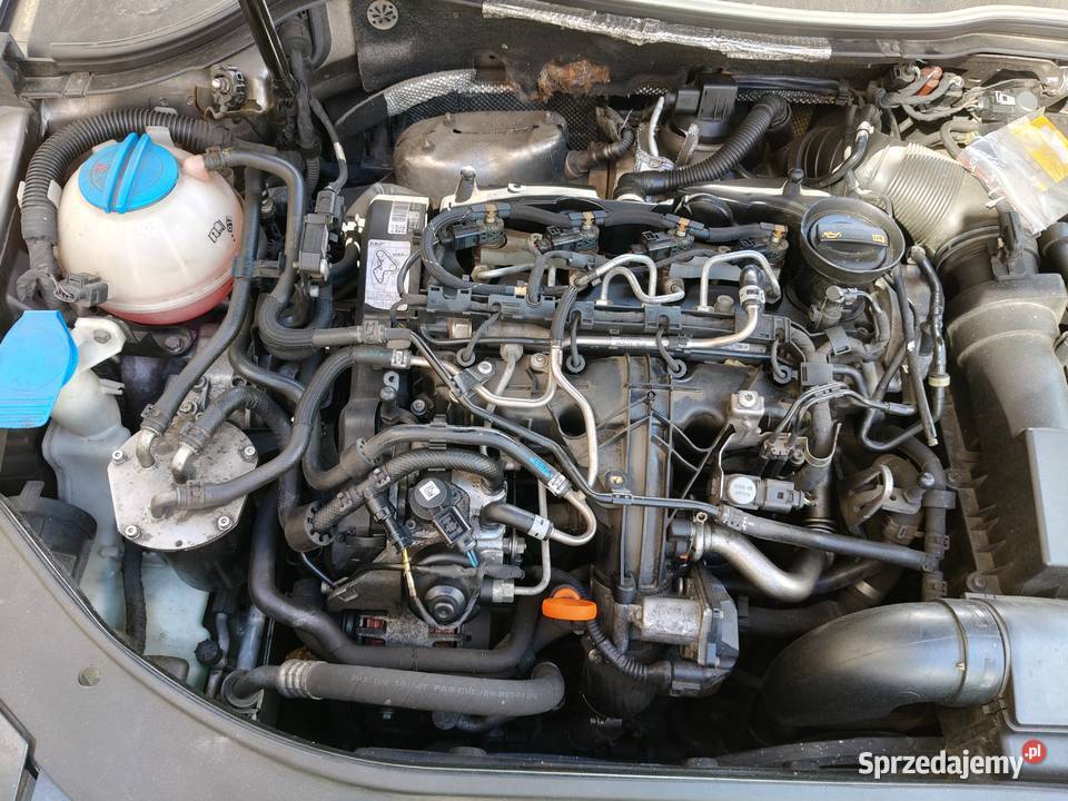 VW Passat B7 Grudziądz