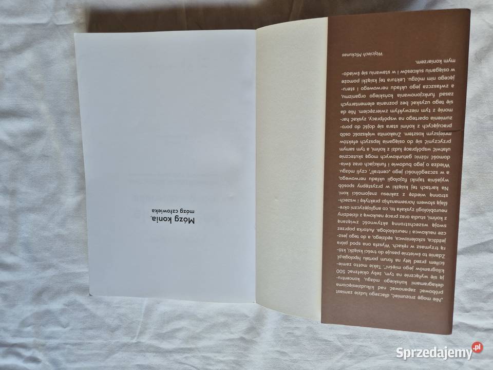 Mózg konia mózg człowieka Brzesko